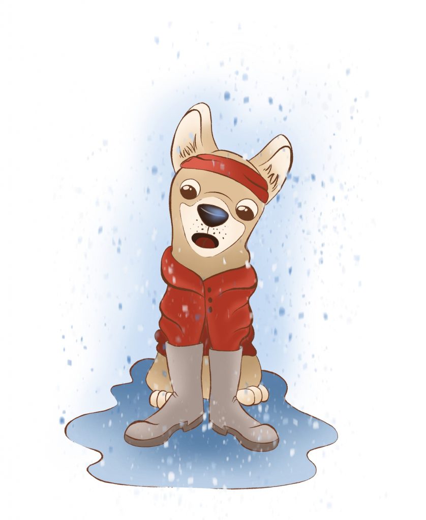 small dog protecting paws from snow and ice with big booties