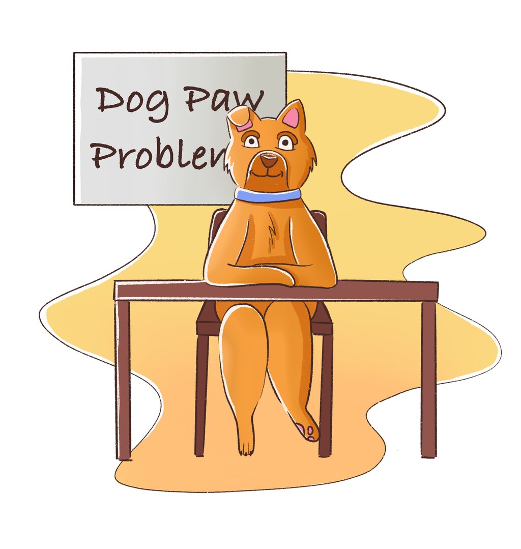 Read more about the article Dog Paw Problems Explained