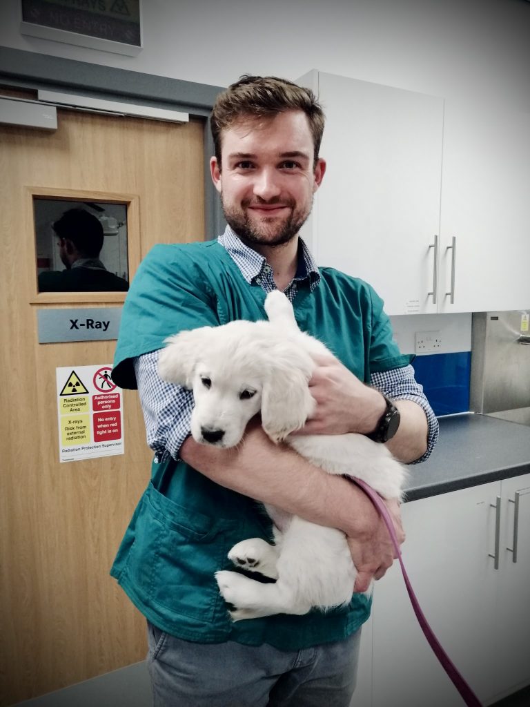 Veterinary advisor for happiestdog - Dr. Alex Crow