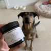 Paws and Snout Premium dog balm in front of the dog at home use