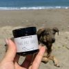 Our dog paw and nose balm on the beach